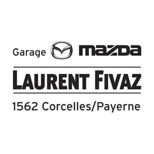 logo-fivaz-2_result